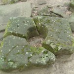 Поиски творчества Поиски творчества